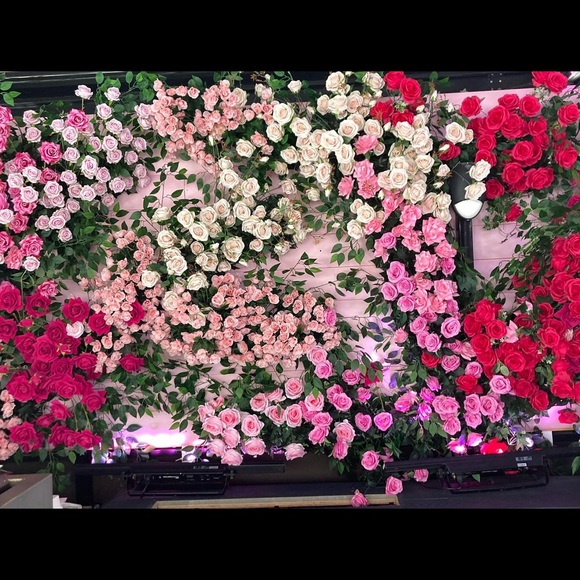 Meet your Posher, Marissa - Picture 1 of 1